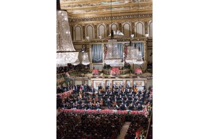 2015維也納愛樂開幕之夜 Vienna Philharmonic