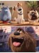 The Secret Life of Pets: Music from the Motion Picture Soundtrack Piano Solo